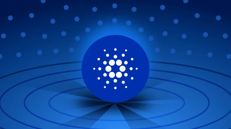 A cosa serve Cardano?
