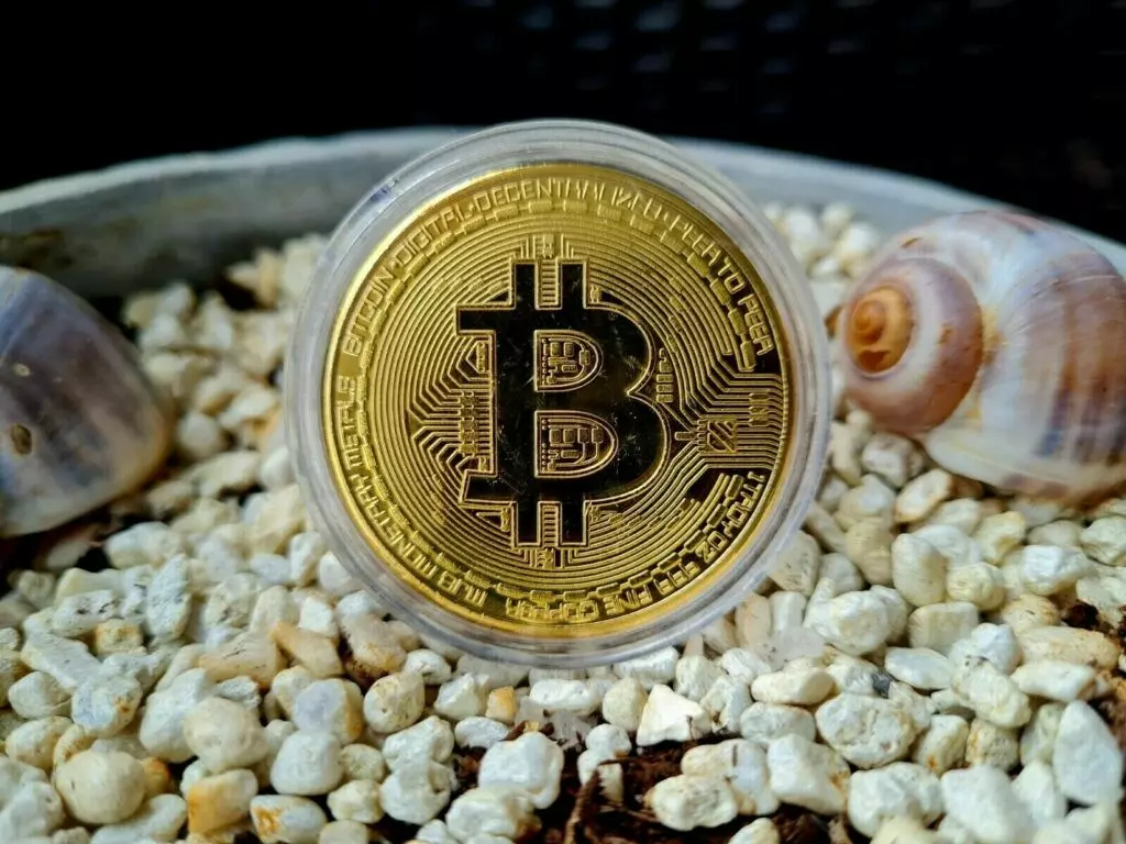 Chi è un principiante di Bitcoin vendere
