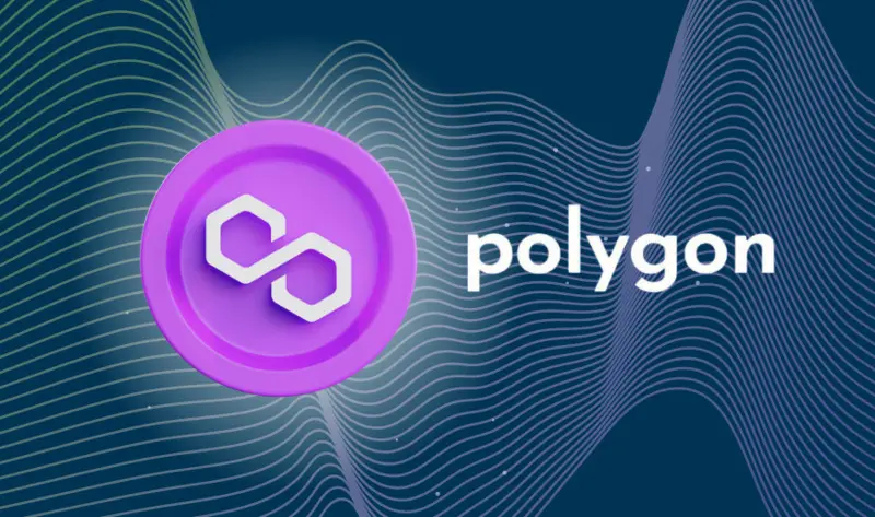 Chi è il CEO di Polygon
