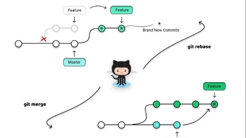 Viene fornito un elenco di progetti di criptovaluta rebase  popolari.
