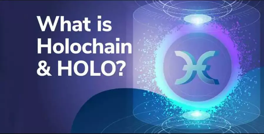Qual è il futuro dei servizi holochain?
