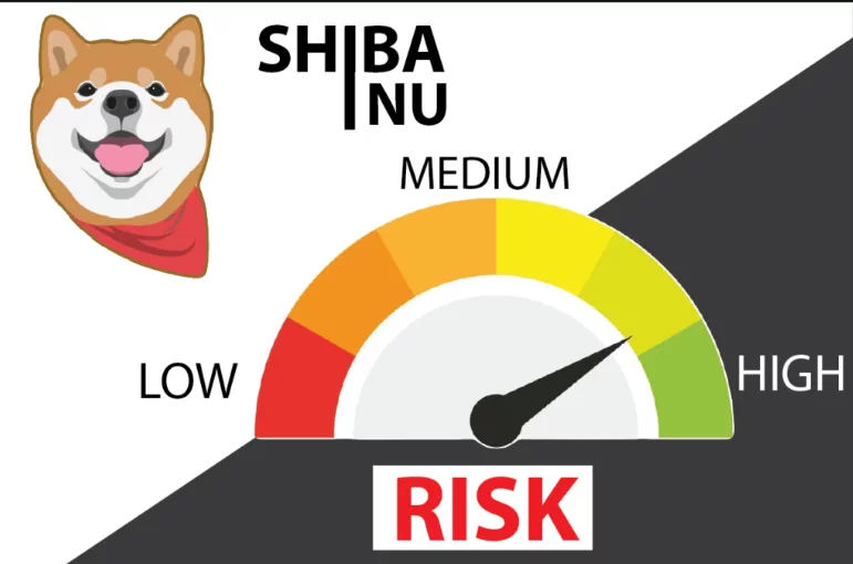 Qual è il vantaggio della criptovaluta Shiba Inu?  Shiba  shiba inu cos è
