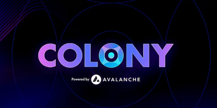 Che cos'è la crittografia delle colonie?