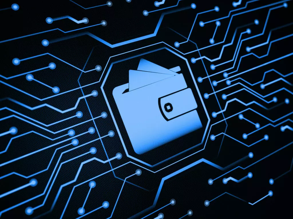 Cosa posso fare con un portafoglio DeFi?
