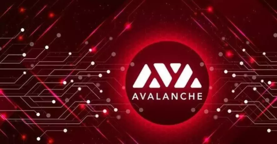 Che cos'è avalanche cripto
