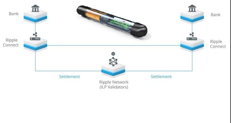 Cos'è XRP e come funziona?
