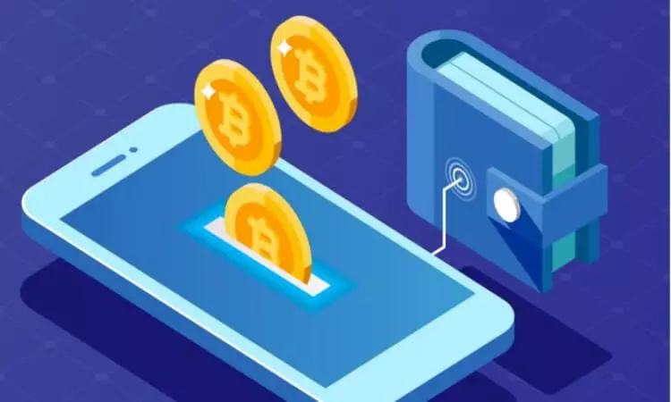Qual è la differenza tra una criptovaluta e un portafoglio?
