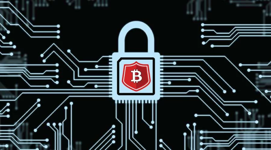 Come guadagnano i portafogli di criptovalute
