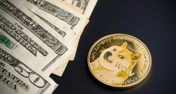Che cos'è il Dogecoin
