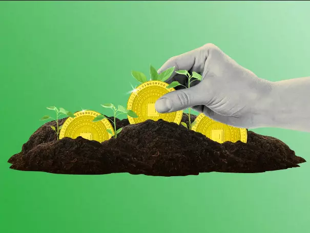 Qual è la differenza tra steaking e income farming? agricoltura cripto
