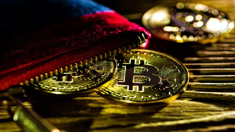 Avete bisogno di un portafoglio Store Crypto
