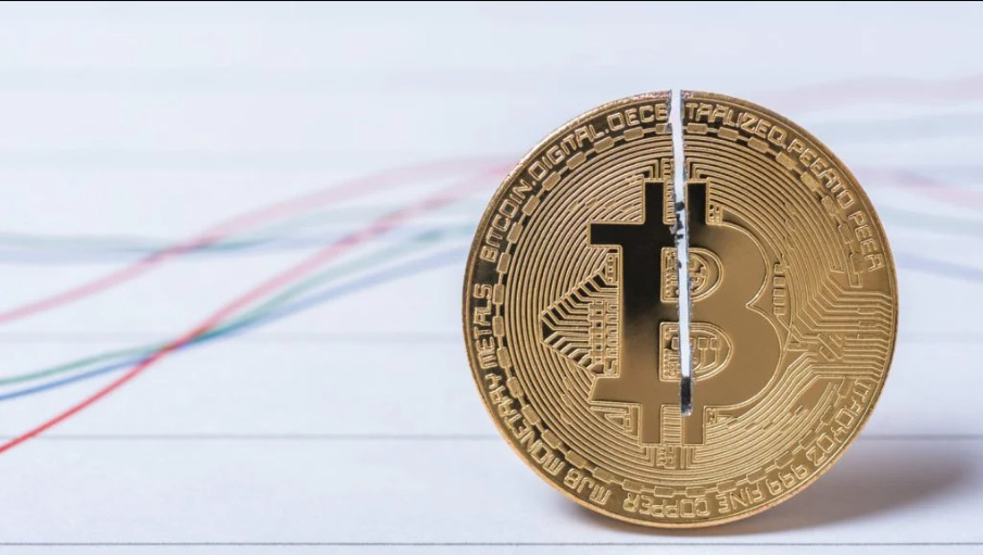 Vale la pena investire in bitcoin? Le migliori criptovalute per il 2023
