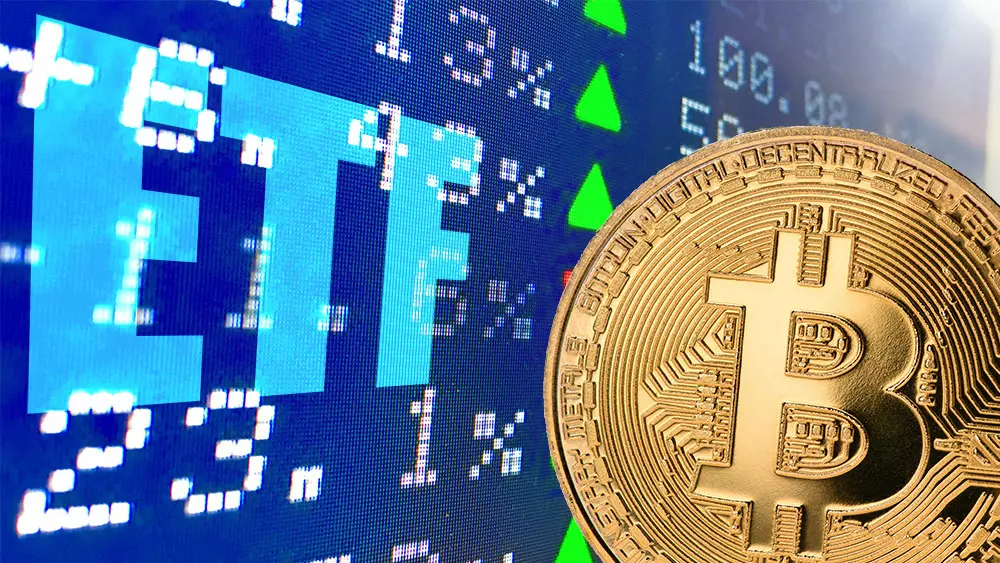 il futuro delle criptovalute ha prosperato sulla volatilità e sull'anonimato
