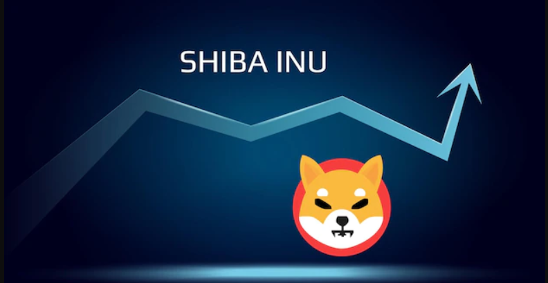 Quali sono le previsioni per SHIB? moneta shiba inu
