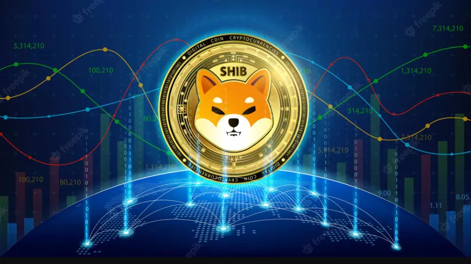 L'investitore ha fatto soldi con la criptovaluta moneta shiba inu
