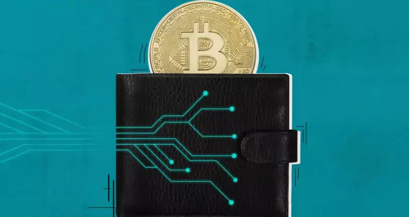 Qual è il portafoglio di criptovalute più popolare?
