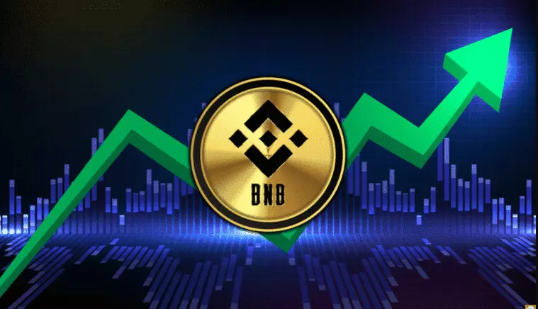 Binance Coin sta già registrando un'intensa attività. comprare criptovalute
