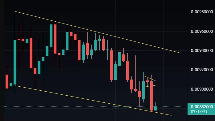 L'Amp crypto è sicura
