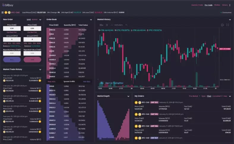 Abilità: Commercio di Forex e azioni. Criptovalute come funzionano
