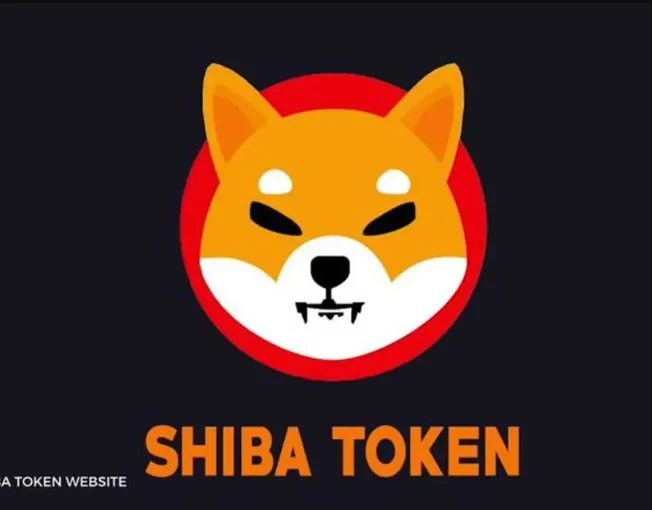 Quando la criptovaluta Shiba Inu tornerà ai massimi storici. shiba inu criptovaluta
