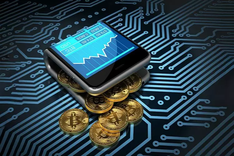 Come funziona un portafoglio software?
