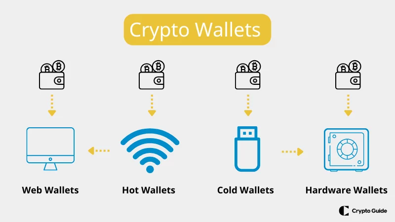 Come scegliere un portafoglio per le criptovalute.
