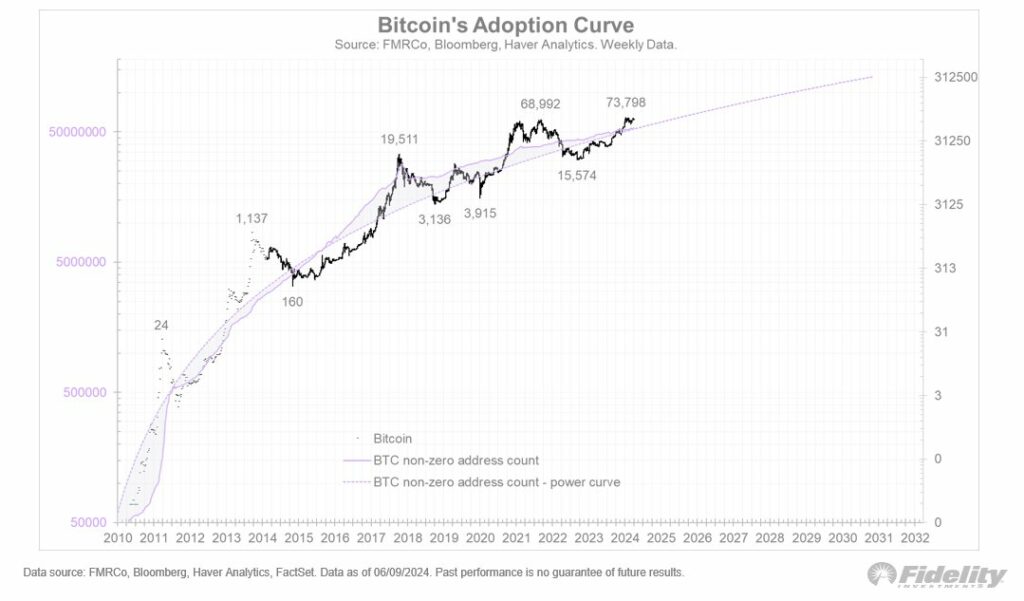 La curva di adozione del Bitcoin
