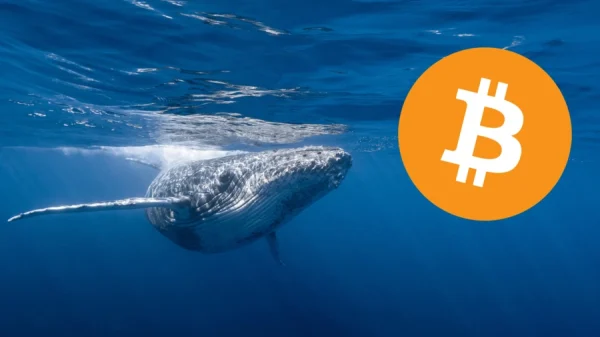 L’antica balena Bitcoin muove $60M dopo 12 anni!