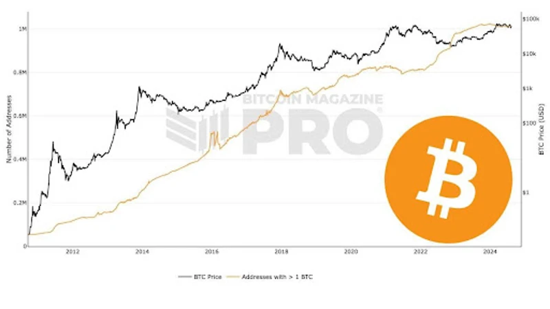 Grafico che mostra il numero di indirizzi Bitcoin che detengono 1 BTC
