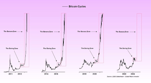 Grafico del ciclo del Bitcoin dal 2011 al 2024
