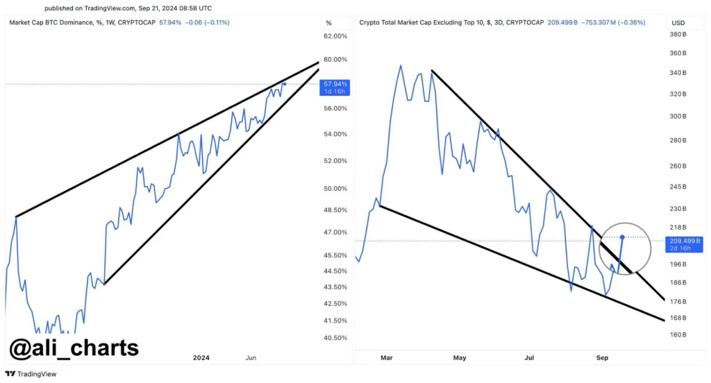 Tendenza-al-rialzo-nei-mercati-delle-altcoin