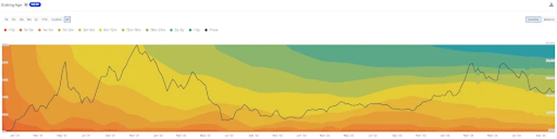 Grafico delle variazioni del tasso di Ethereum nel tempo
